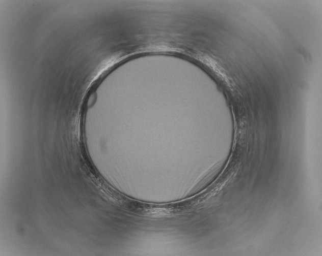 X0000114671173200912021047