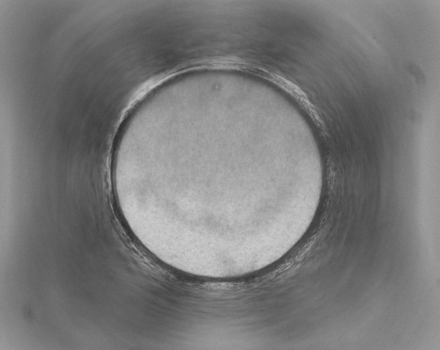 X0000114671176200912021047