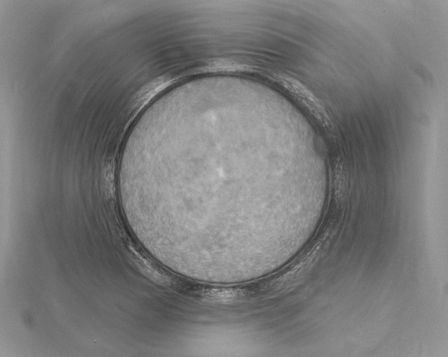 X0000114671177200912021047