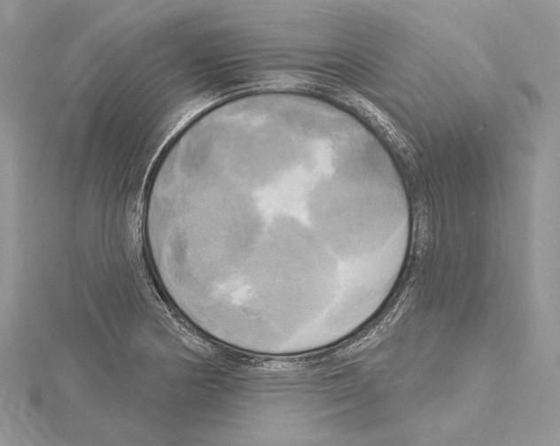 X0000114671178200912021047