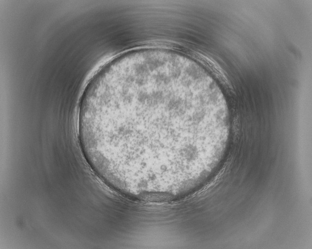 X0000114671180200912021047