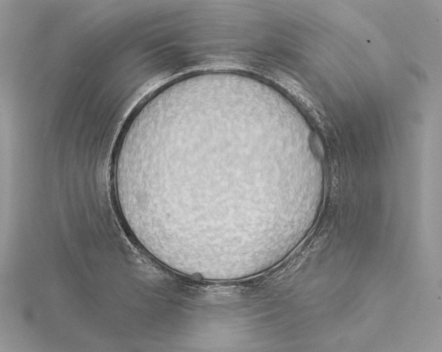 X0000114671181200912021047