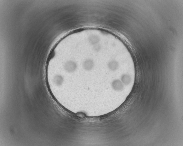 X0000114671183200912021047