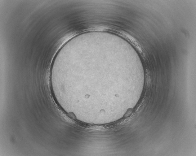 X0000114671186200912021047