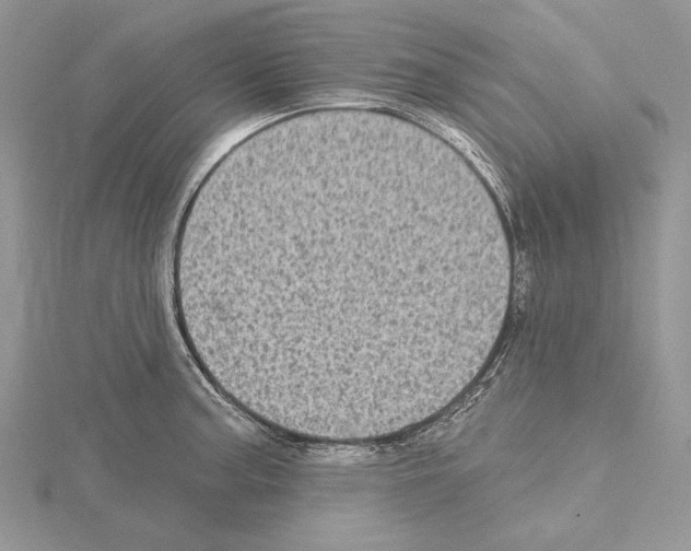 X0000114671187200912021047