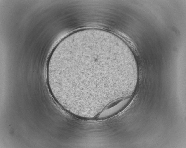 X0000114671188200912021047