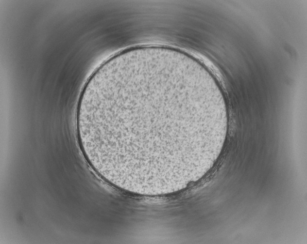 X0000114671191200912021047