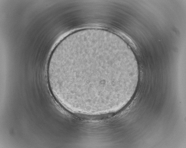 X0000114671192200912021047