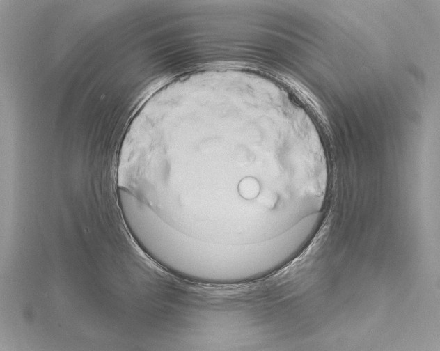 X0000114671193200912021047