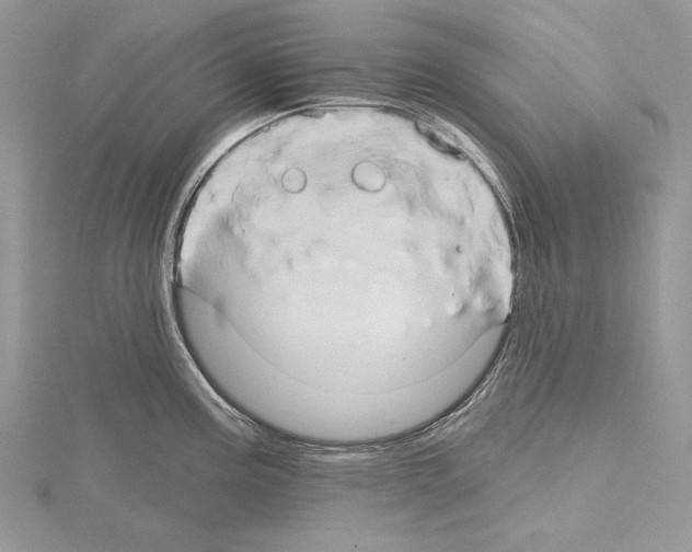 X0000114671195200912021047