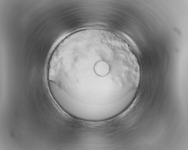 X0000114671196200912021047