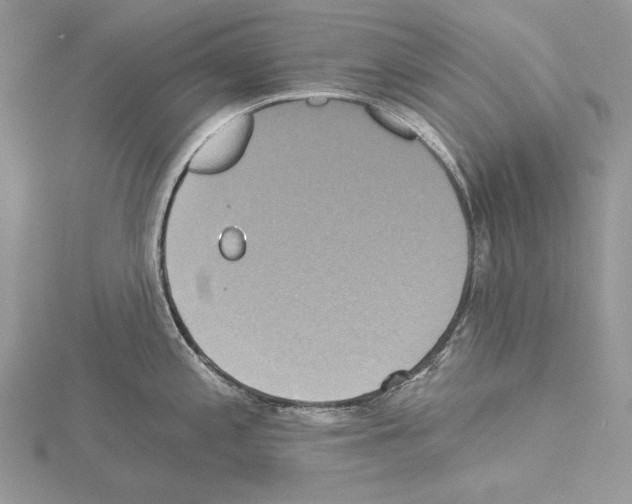 X0000114671197200912021047