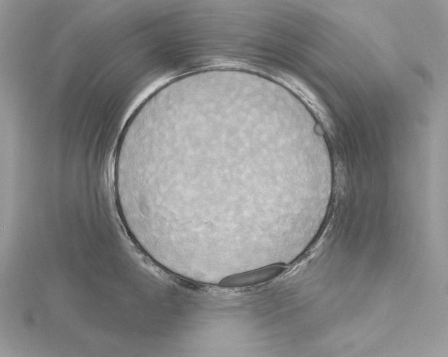 X0000114671198200912021047