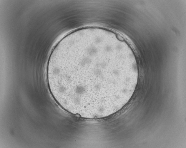 X0000114671199200912021047