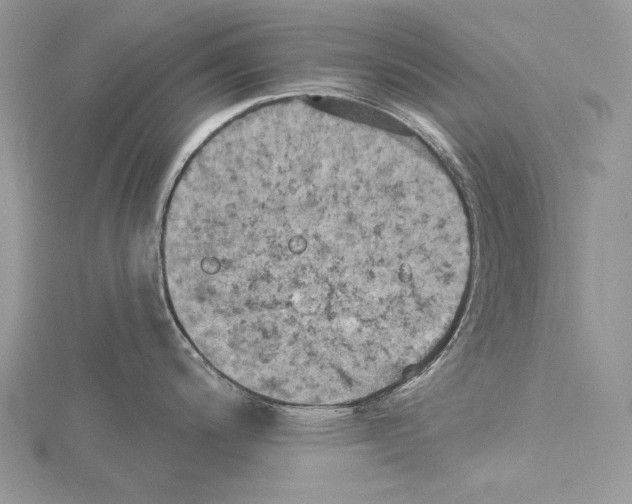 X0000114671200200912021047