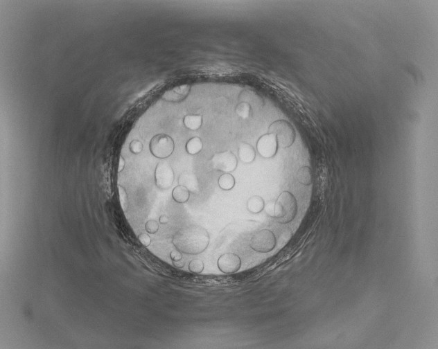 X0000114671205200912021046