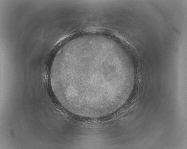 X0000114671206200912021046