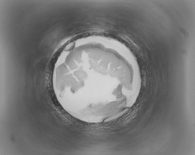 X0000114671208200912021046