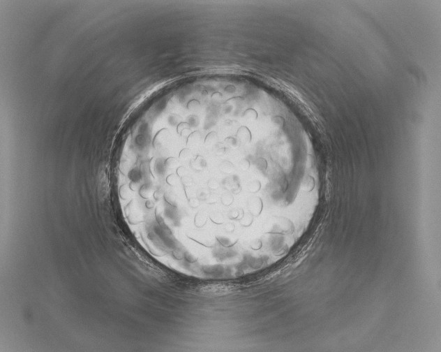 X0000114671212200912021046