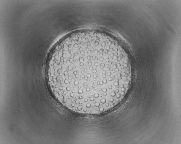 X0000114671216200912021046