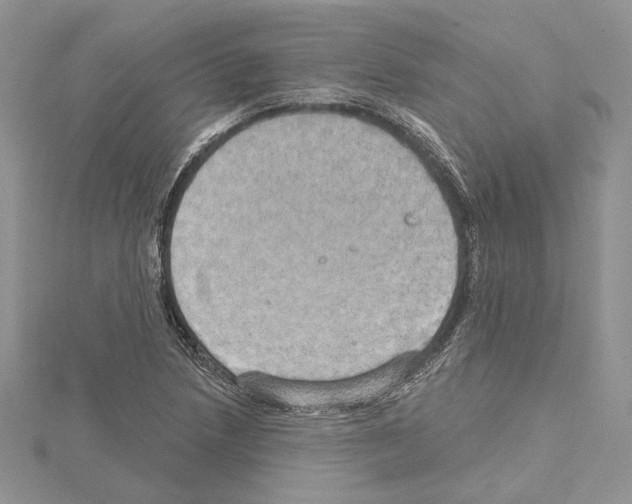 X0000114671218200912021046