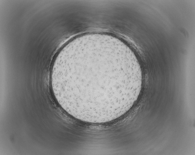 X0000114671220200912021046