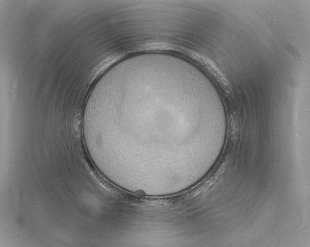 X0000114671225200912021046