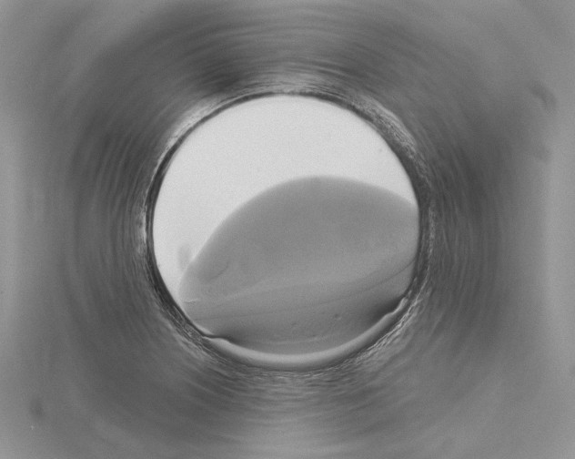 X0000114671226200912021047