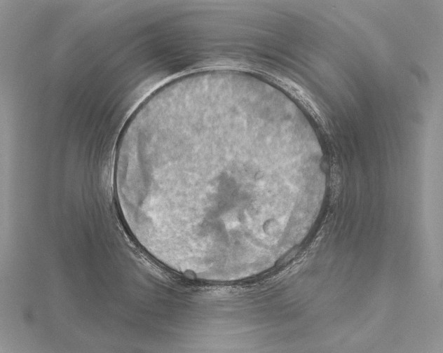 X0000114671228200912021047