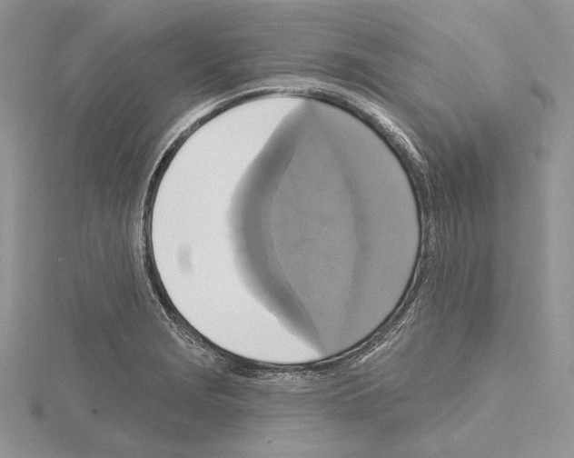 X0000114671229200912021047