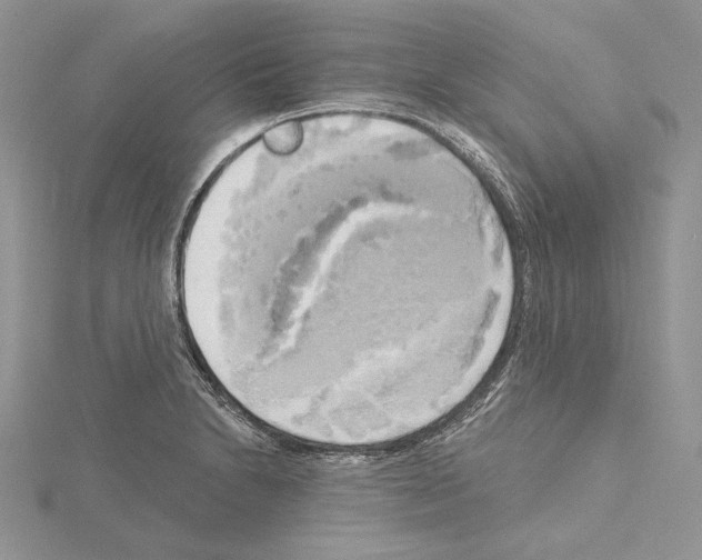 X0000114671230200912021047