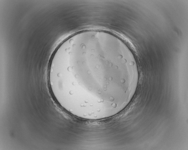 X0000114671231200912021047