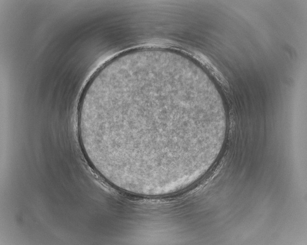 X0000114671232200912021047