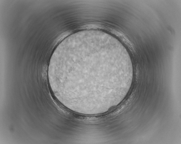 X0000114671233200912021047