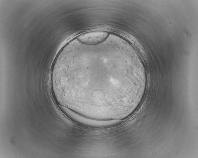 X0000114671234200912021047