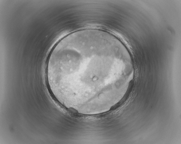 X0000114671235200912021047