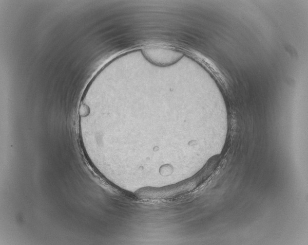 X0000114671236200912021047