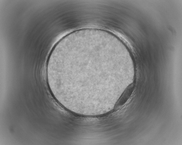 X0000114671238200912021047