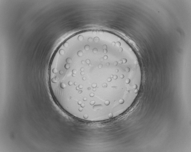 X0000114671239200912021047