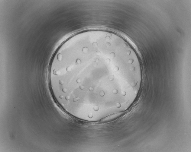 X0000114671245200912021047