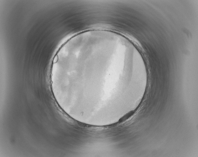 X0000114671248200912021047