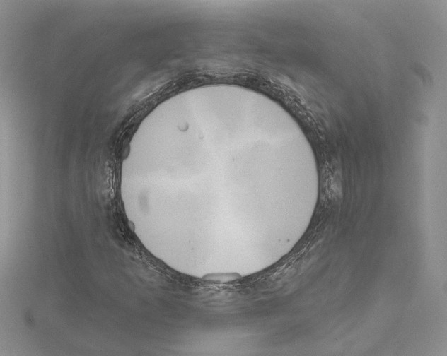 X0000114671253200912021046