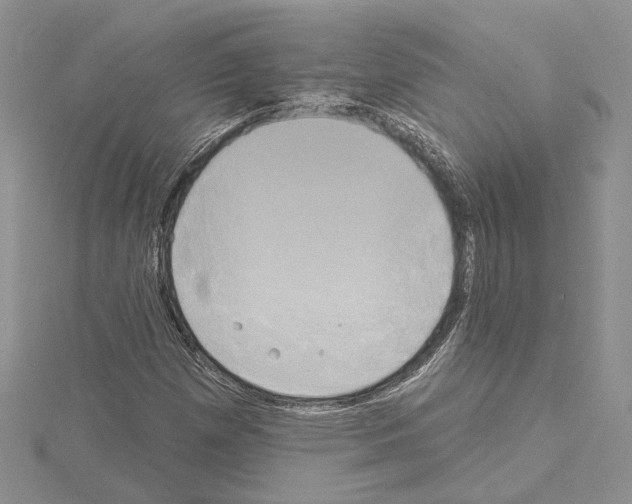 X0000114671257200912021046