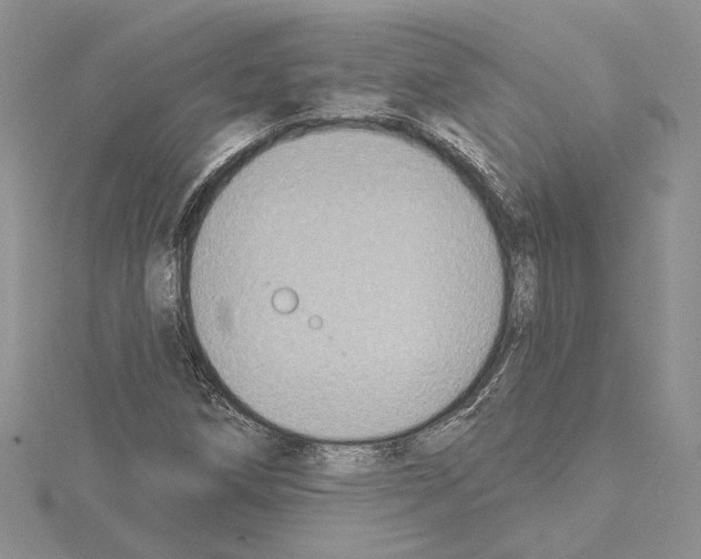 X0000114671258200912021046