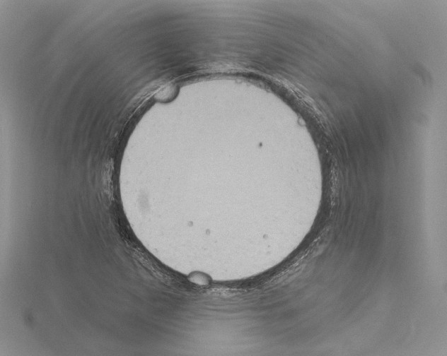 X0000114671265200912021046