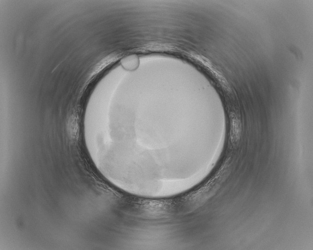 X0000114671266200912021046