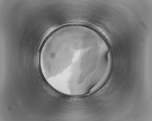 X0000114671275200912021046