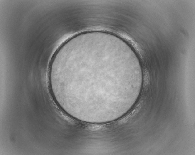 X0000114671278200912021046