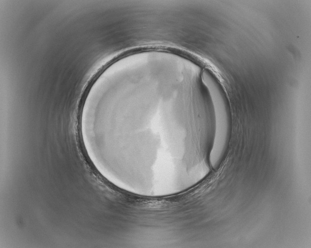 X0000114671279200912021046