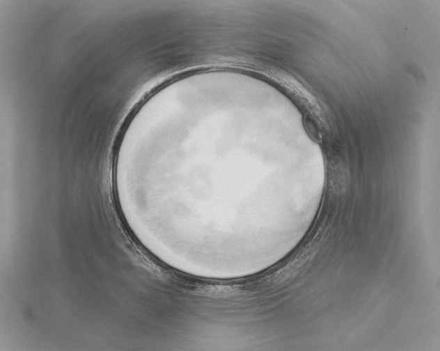 X0000114671280200912021046